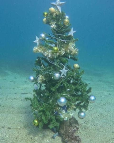 Predbožični potapljaški vikend