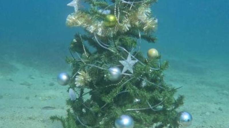 Predbožični potapljaški vikend